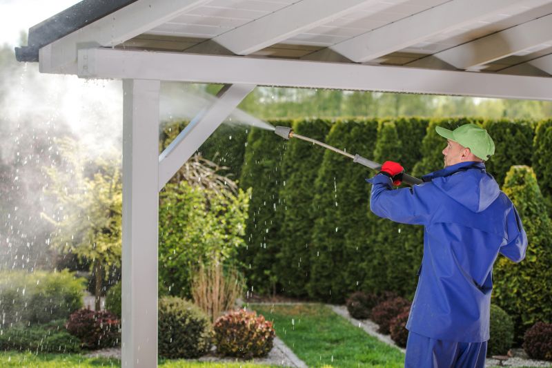 Carport Cleaning