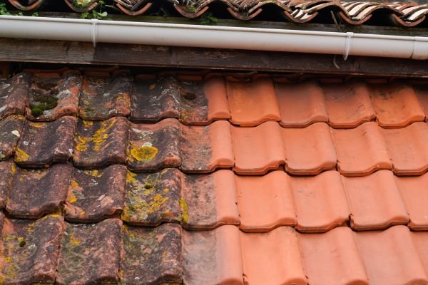 Industrial Roof Cleaning in Falls Church